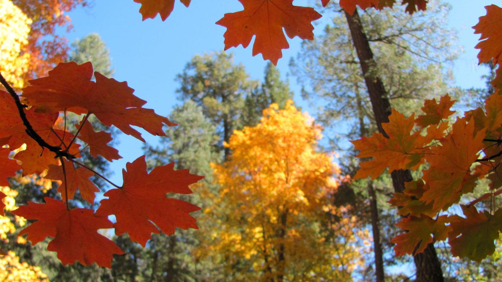 Tucson weather: Cloudy skies and cooler temperatures